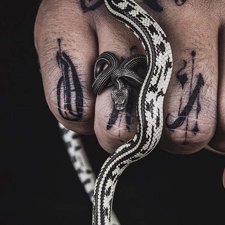 Infinionly New Adjustable Snake Ring