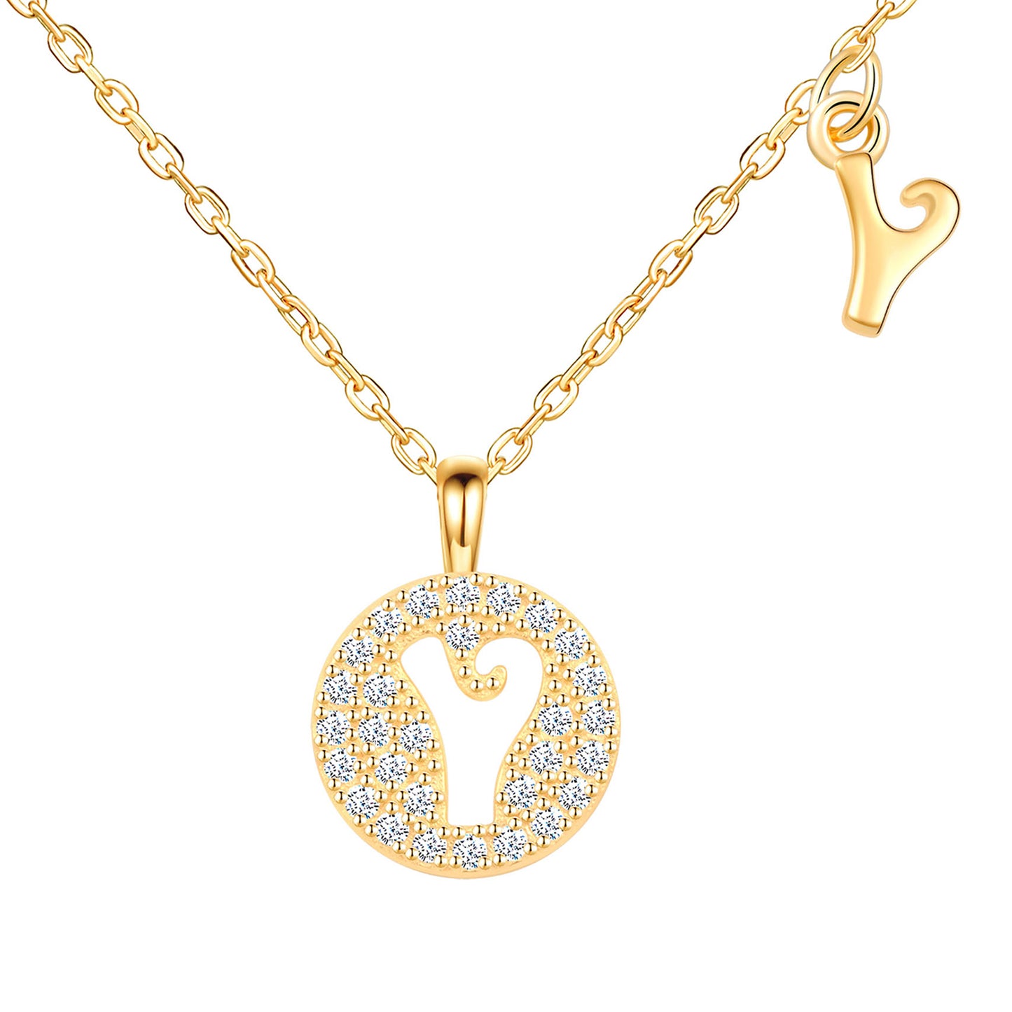 Initial Disk CZ Necklace